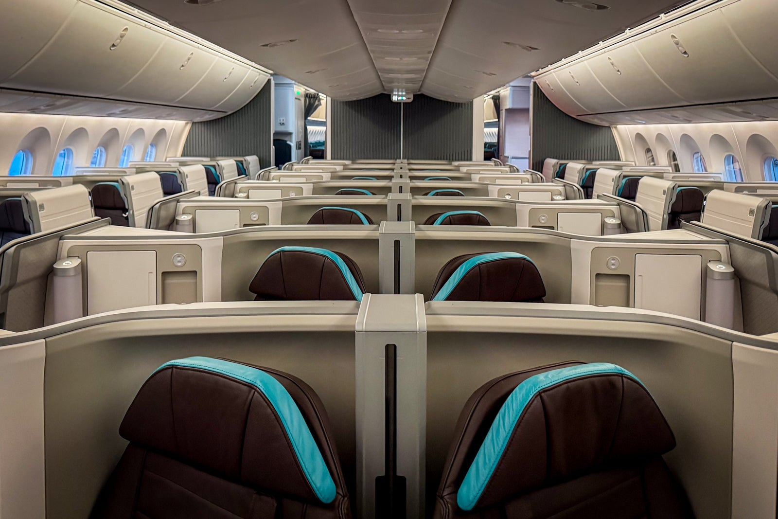 Hawaiian Airlines Dreamliner Business